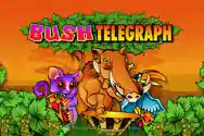 BUSH TELEGRAPH?v=6.0